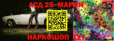 крисы Шахты