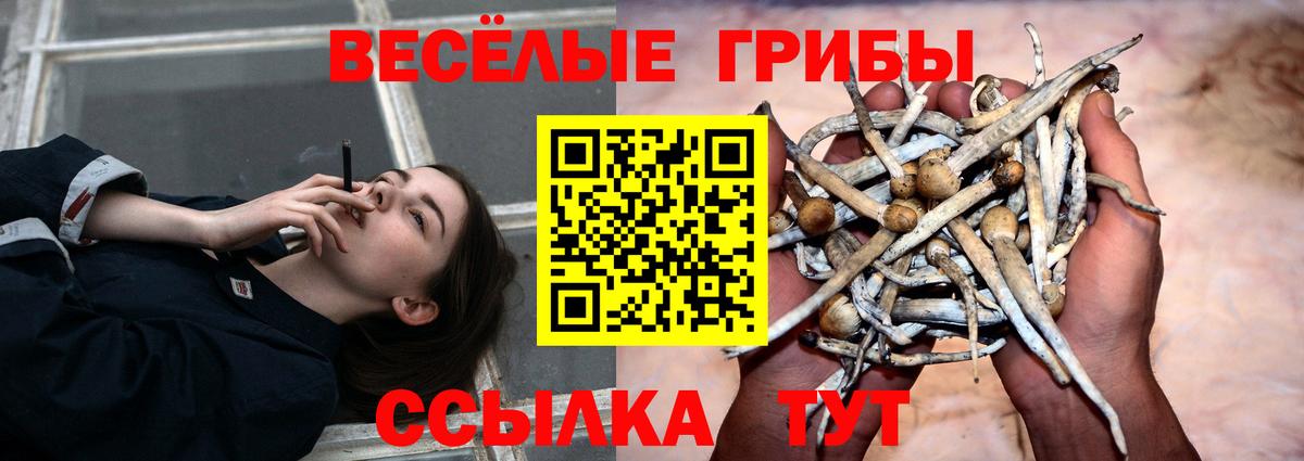 Югорск  Псилоцибиновые грибы Cubensis  Вход с VPN 